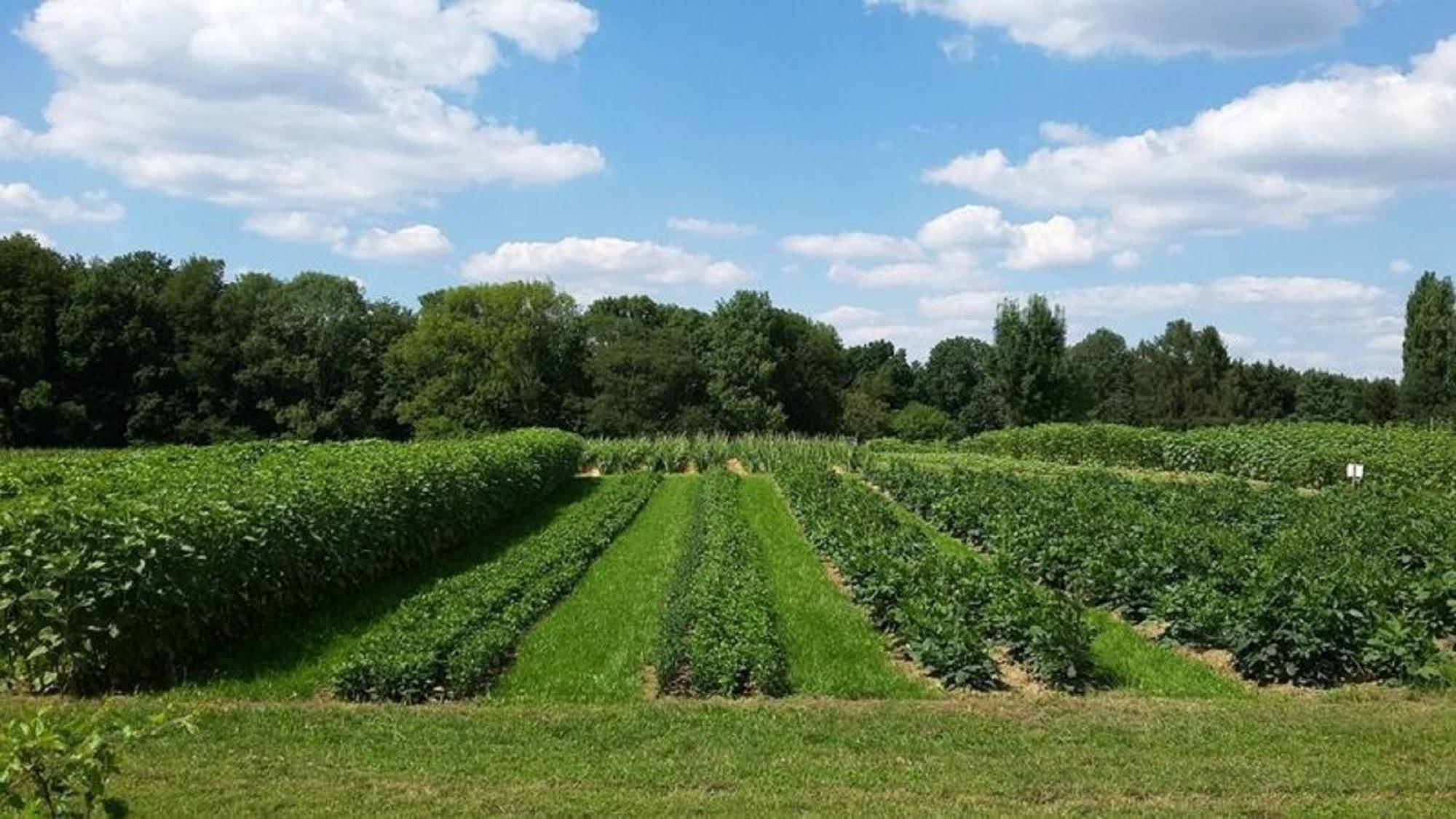 Bauernhof Sesterhenn Leichlingen Exterior foto